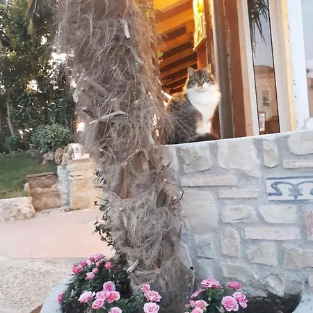 Giada Bed and Breakfast 3*