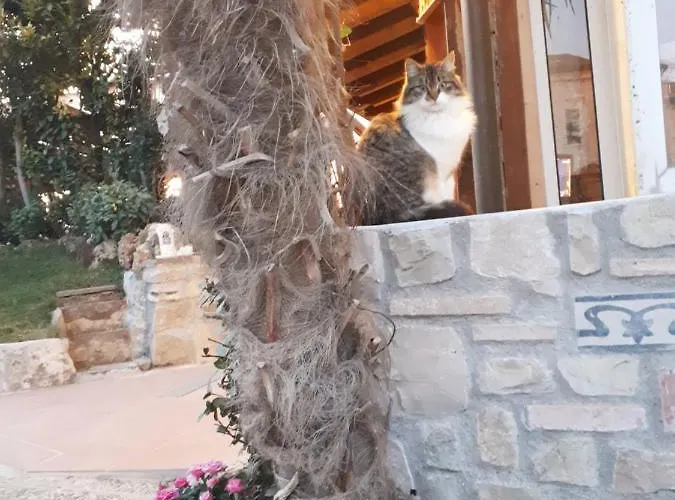 Giada 住宿加早餐酒店 3*